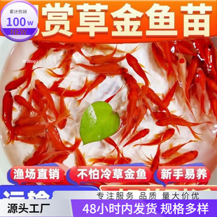 ���ͻ��~��ؔ�B�������~���l�؃r���BС���~��ˮ���~�^�p�~