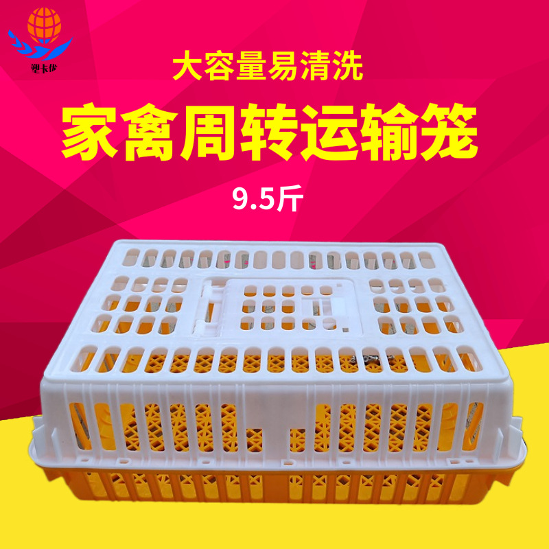 农产品养殖塑料加高鸡笼 735*540*300塑胶鸭笼 9.5斤重