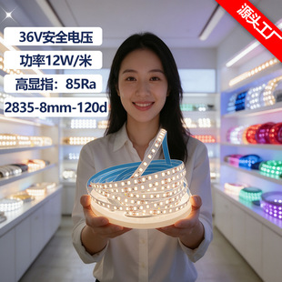 36V�͉���������120��8mm�~����@ָ������QLED���l�V������