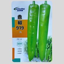 鼎辣919辣椒种子中早熟大果型黄绿皮牛角椒种籽肉厚顺直辣味浓孑