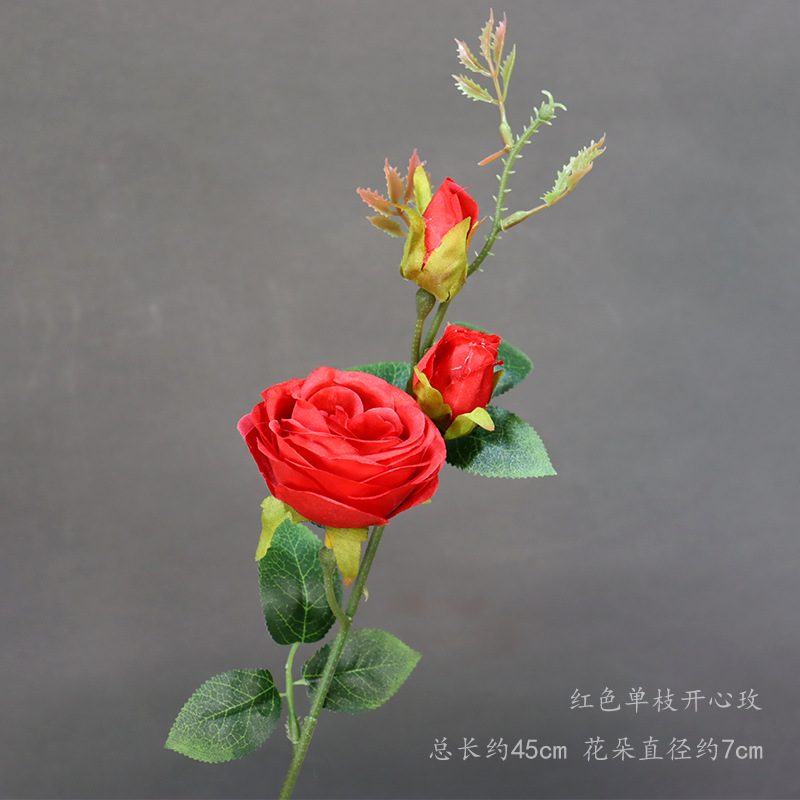 빨간색 단일 행복한 장미