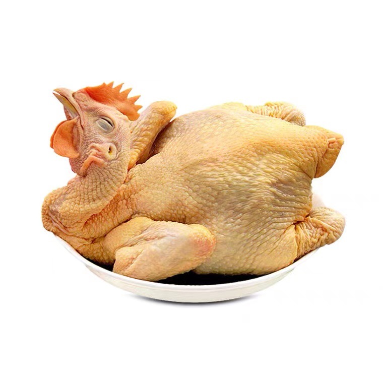 广东清远黄油鸡厂家直销 黄皮黄油鸡农家鸡现杀发货