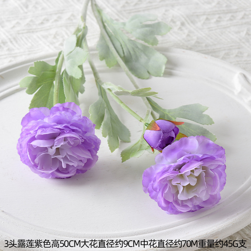 3 cabezas lulian púrpura