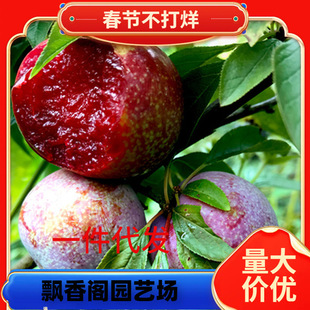 һ�����l���Ә���޽�����Ó��������ӹ����箔��Y���ϱ����N��