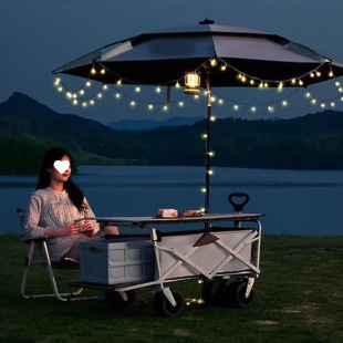 Camping Umbrella Camping Car Outdoor Stall Internet Popular Fishing Umbrella Camping Car Umbrella Garden Umbrella Portable Umbrella