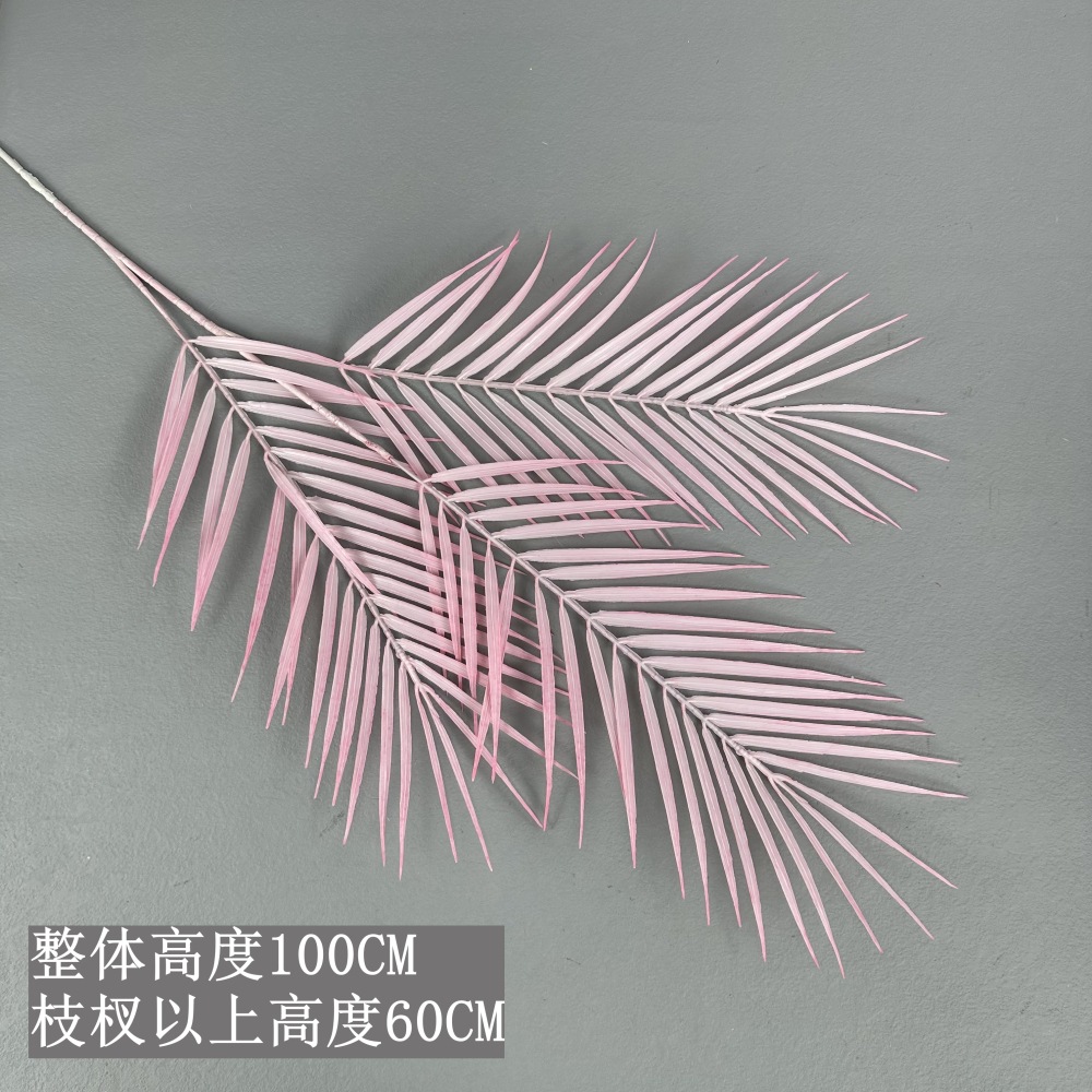 느슨한 꼬리 잎-창백한 핑크