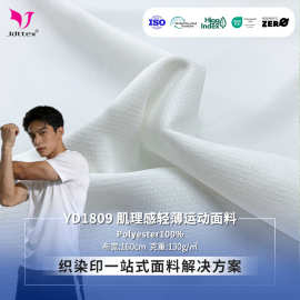 全涤轻量化运动面料 软弹亲肤运动t恤polo衫针织布肌理感轻薄面料