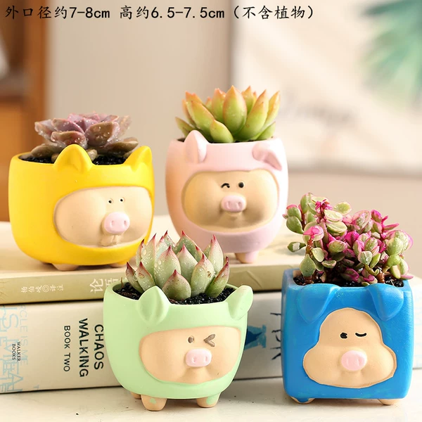 Caiyi Little Pig Group 4