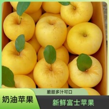 �����O�����O�������S�ĸ�ʿ�������rˮ���������l