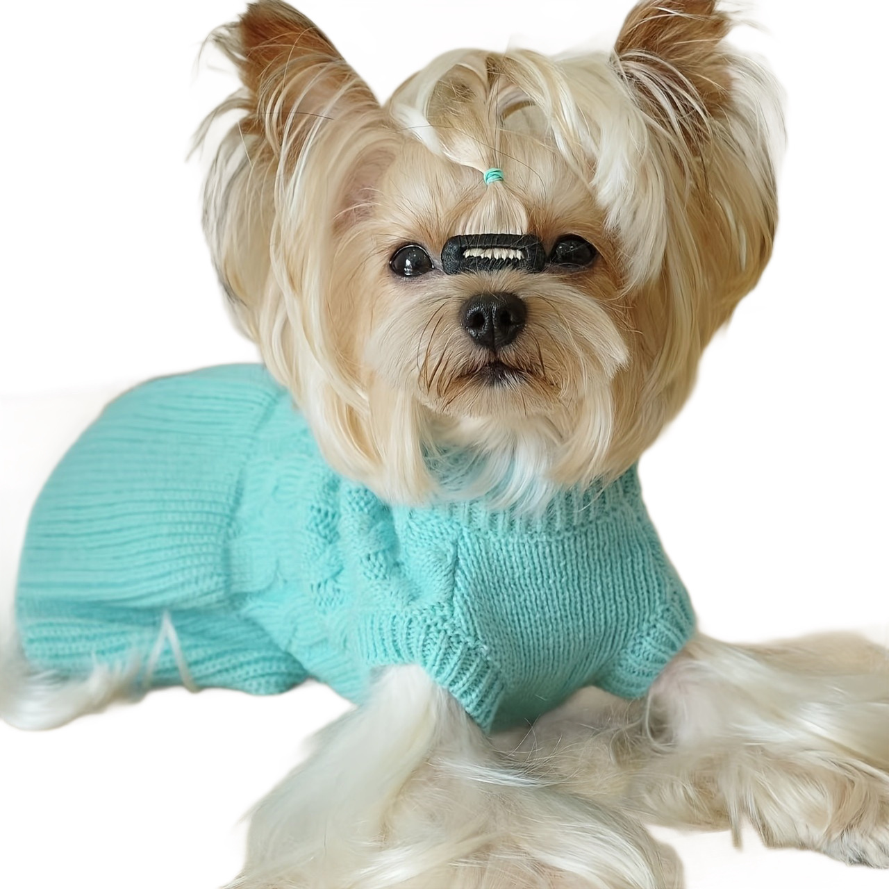 Pull tricoté pour chien, automne et hiver, vêtements torsadés pour animaux de compagnie, petit chien, Teddy Bichon, vêtements chauds, rose, bleu