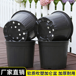 ��ɫ�Ӂ���I�B�����绨�����Ի��躆�׷Nֲ�����籭���ϷNֲ����