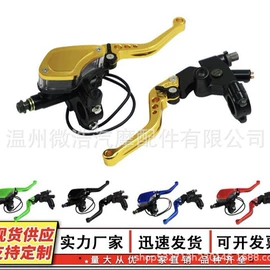 摩托车通用件;车身及附件;油泵、油嘴