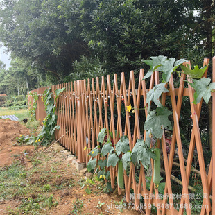 �e��ͥԺ�ř� ��䓖ř� ��ľ�y���� �@�־G���o�� �OӋ���o��