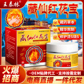 源头厂家藏仙红花宝烧伤烫伤外用护理膏抗菌膏外用草本乳膏软膏