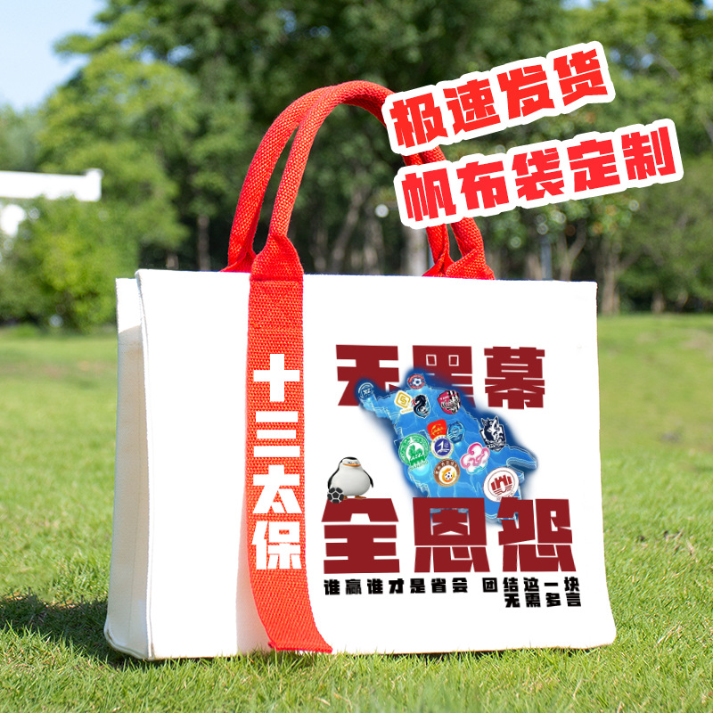 帆布包定制图案logo手提立体广告宣传企业学校大容量飘带斜挎收纳
