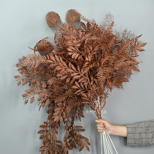 ��ɫ��Y������ɫ��Y���~���b�����S���~�ٻ��������廨