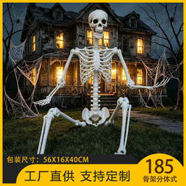 跨境爆款185cm分体式骨架万圣节关节可活动模型骷髅道具工厂直供