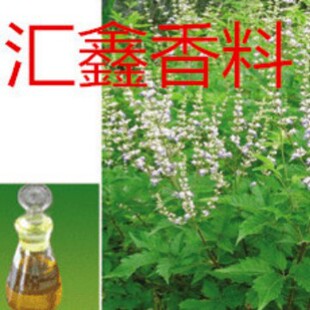 �S�ҹ���ĵ�G�� �S�G�� ĵ�G���� ֲ������