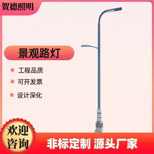 Single and double-arm street lamp municipal street lamp 8 m 9 m 10 m high and low-arm street lamp pole outdoor lighting rocket lamp