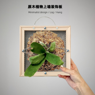 ¹��ާާ��m��Gֲ�Ϡ��Nֲԭľ͸��Ғ캆�s�b�