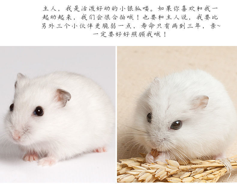 59a0e932-abfc-4b57-96e3-5bc99f2f827d.jpe