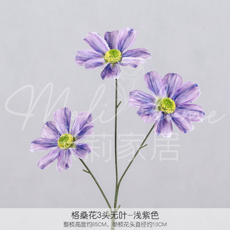 밝은 보라색 4#-잎이 없는 3개의 콜산 꽃