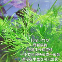 ˮ��ӡ��С�񹝲����ֺ��B�ͻ�������ˮ���~���b��Ã���ˮ�|