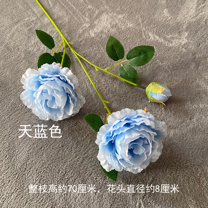 3 Foreign peonies-Sky Blue