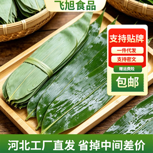 �����~�ɝ��~�Ӵ�Ƭ���b ���l���l�����~�������~�����r�����~