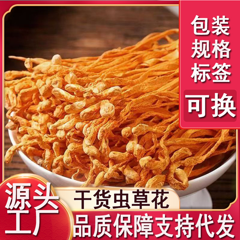 虫草花菌菇干货袋装北虫草蛹虫草金虫草北冬虫夏草黄金草不老草