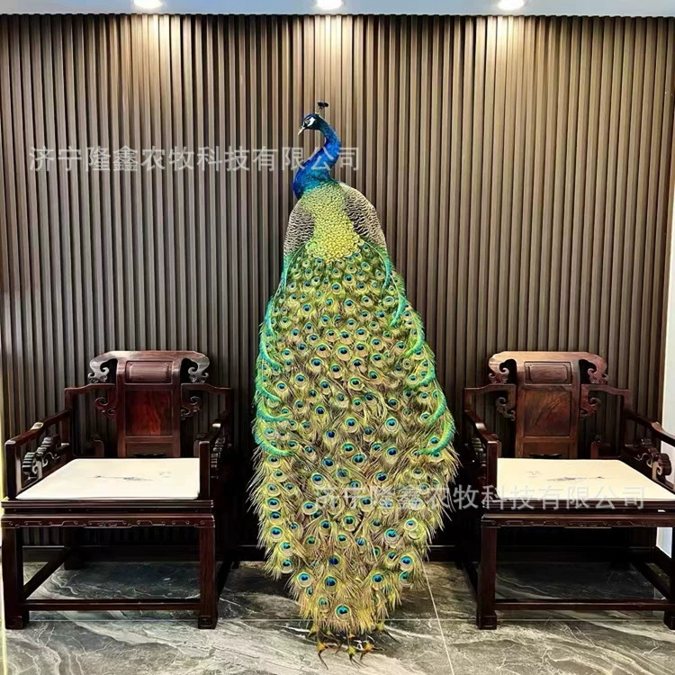 Где можно продать образцы павлина поделки