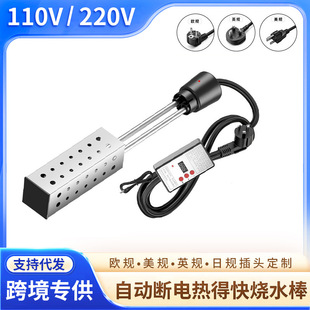 110v220VWӢÿˮȫӟ늟ˮˮԄӔ