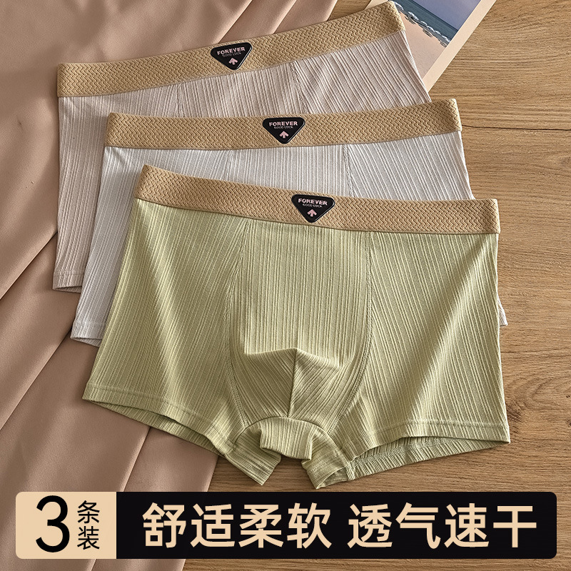 【1023C/3】라이트 커피 + 라이트 그레이 + 그린