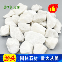 多肉铺面庭院造景白砾石 广州厂供白石子2-3cm树坑白色鹅卵石