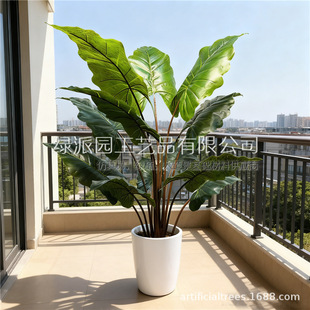 ���ͷ���ֲ��ʺ��������҃�����b٘��辰�W�t�Ř�Gֲ�[��