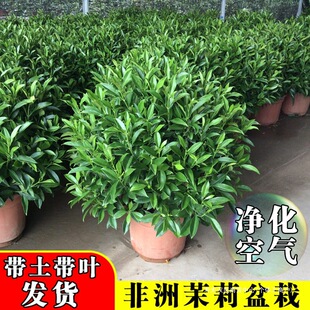 ���������ļ�����ͥԺ���;Gֲ����ȩ�����՚�͏d�k��������