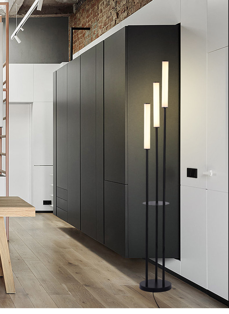 Modern LED Floor Lamp 5