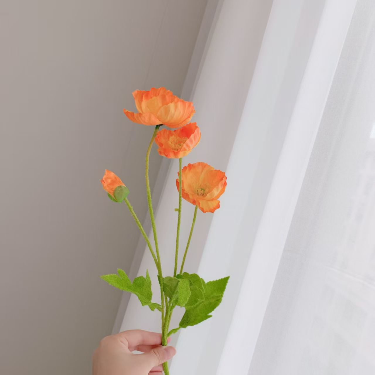 주황색
