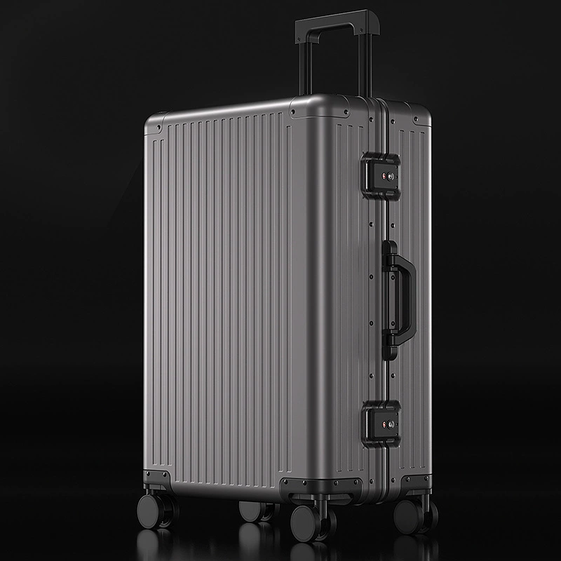(Cross-border trading), capacious suitcase for leisure, 20 inch