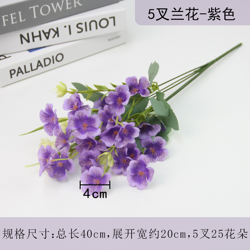 Purple, orchid