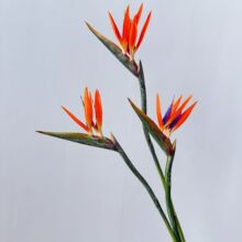 仿真天堂鸟 PU手感鹤望兰软胶假花仿植物落地插花手感保湿 天堂鸟