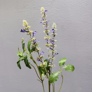 ���滨��β��޹�²����K��С�黨Ұ��С������@ܛ�b�ˇ�ٻ���