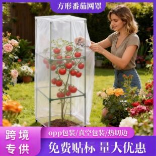 �羳ֲ����x�W�����t�������{ݮ�W�ֹ�����B�ּӺ���x�W�W��