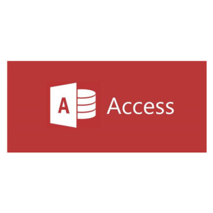 Microsoft (Microsoft) Access LTSC 2021 Genuine Access Database Software