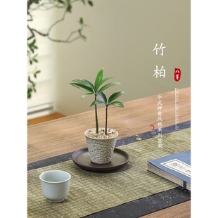 ��������҃ȿ͏d���B���ܾGֲ�k���҃������ļ�����ֲ��[���辰