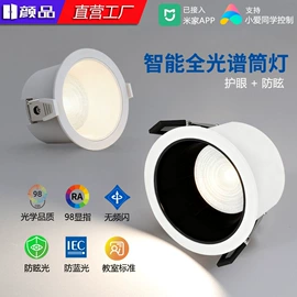 吸顶灯;射灯;筒灯