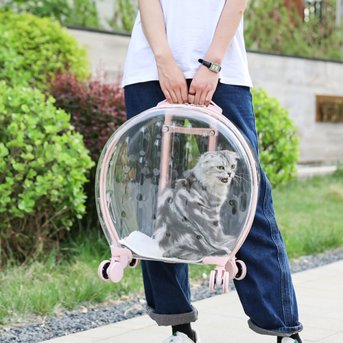 Motorcycle pet manufacturers directly supply pet cat bags, trolley cases, transparent cat bags, portable cat portable transparent flight cases when going out