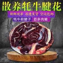 祁连山新鲜牦牛腱子肉牛后腿牛腩牛排骨肋条牛里脊肉上脑肉牛尾巴