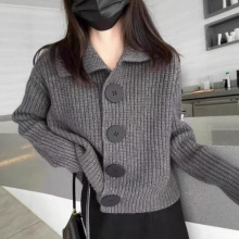 针织开衫女秋装2025年新款长袖宽松韩版时尚大扣翻领短款毛衣外套