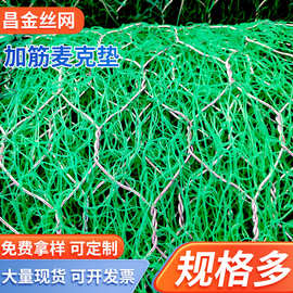 加筋麦克垫 绿化三维植被网快速植生垫工程防护固土网垫石笼网